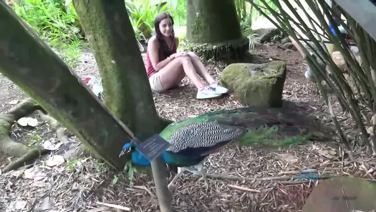 [ATKGirlfriends] - Join Jade for a Big Cock Outdoor Escapade! - Jade Amber