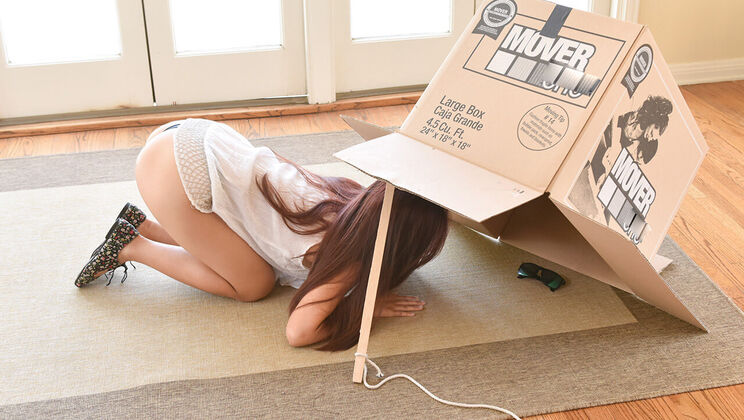 [ExxxtraSmall] - Miniature Thief in a Tight Spot - Elle Voneva